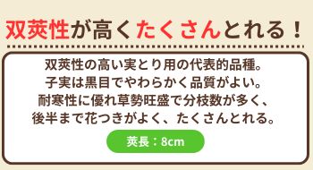 ウスイ