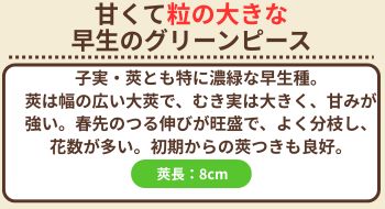 南海緑