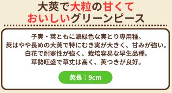 久留米豊
