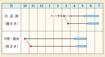 シャンパーニュ