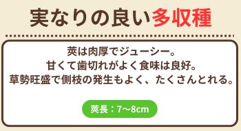 ジャッキー