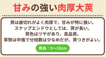 グルメ