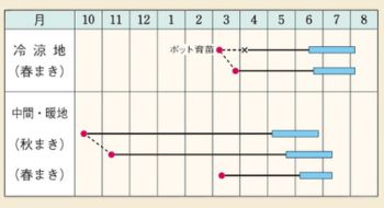 グルメ