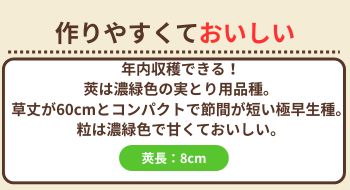 まごゆたか
