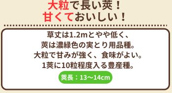 まごゆたか