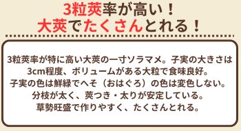 三連