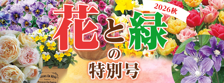 花と緑