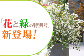 26最新夏秋