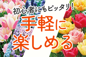手軽に楽しめる