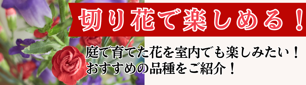 切り花で楽しめる