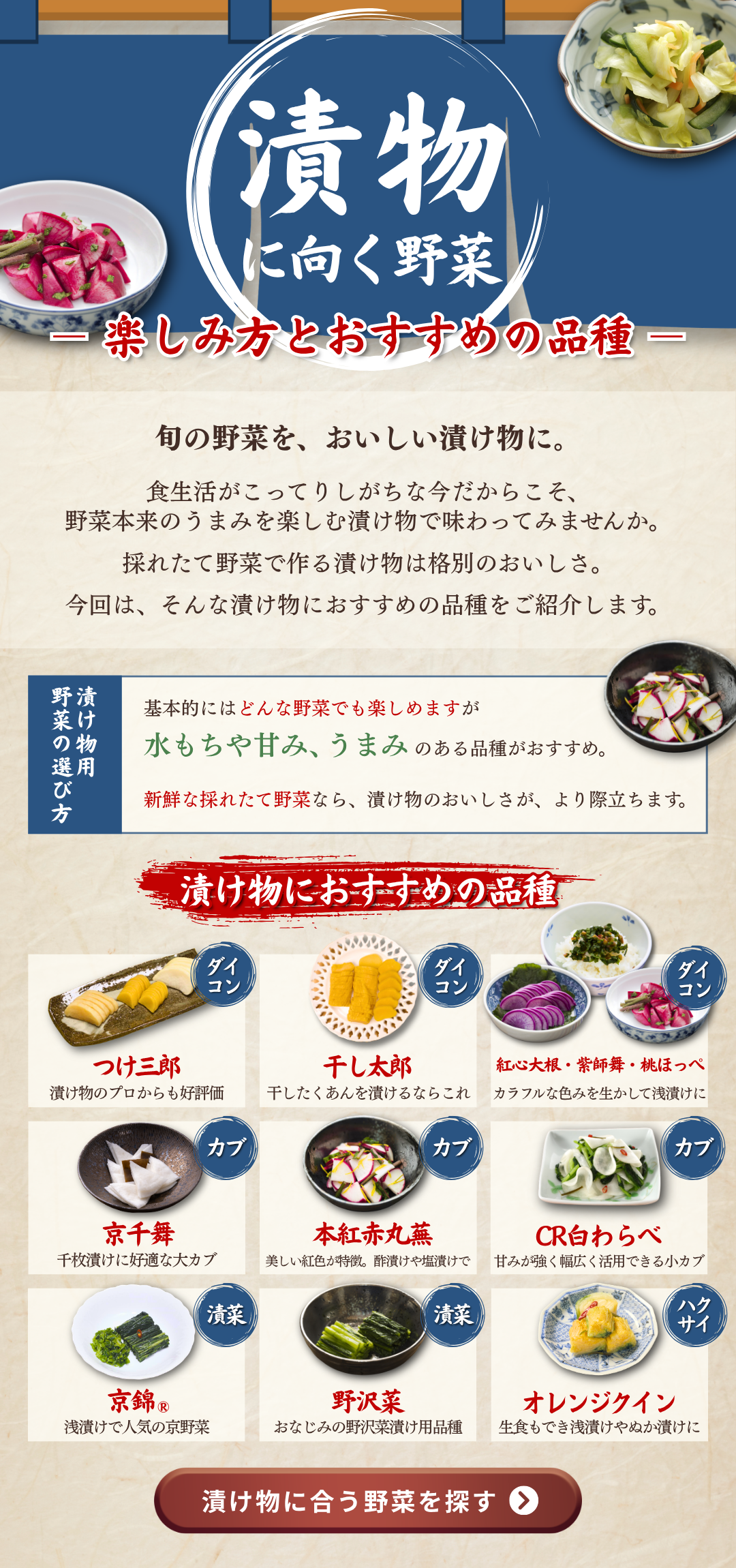 漬け物に向く