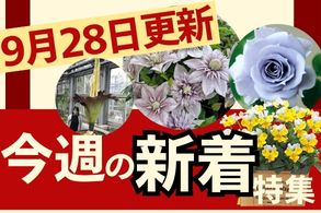 新着特集
