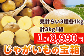 じゃがいも宝箱
