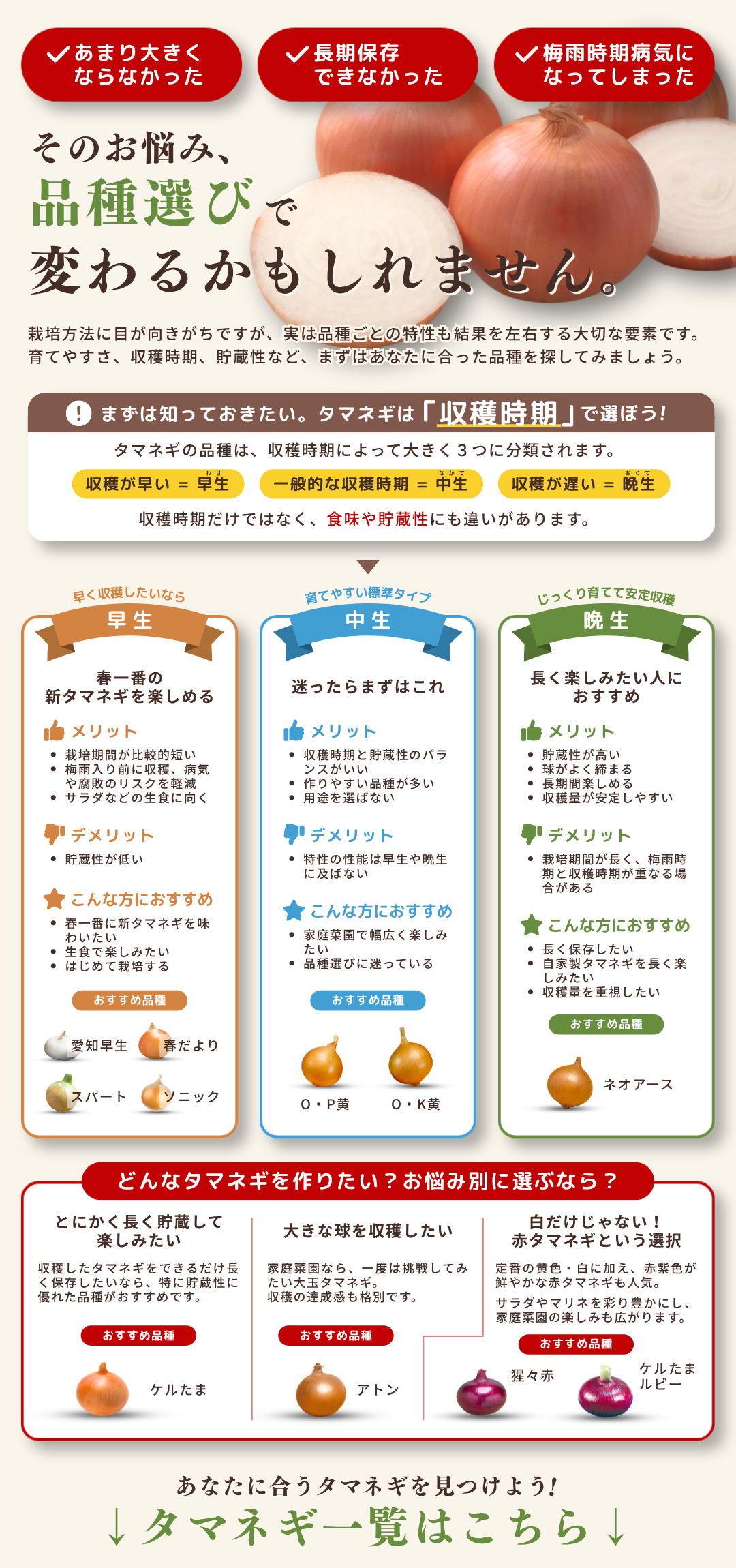 タマネギ品種選び