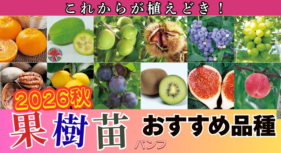 26夏秋果樹パンフ特集