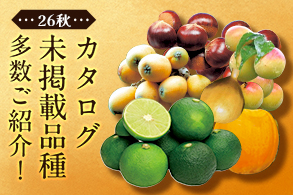 ガイド未掲載