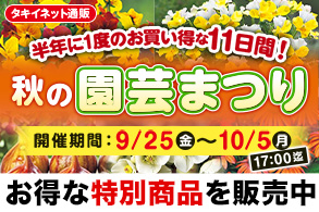 秋の園芸まつり