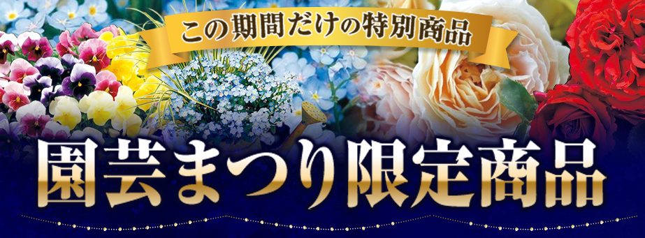 特別商品