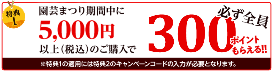 300ポイントもらえる!