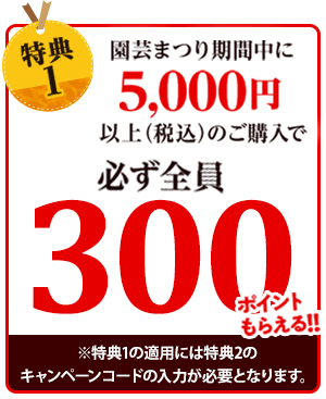300ポイントもらえる