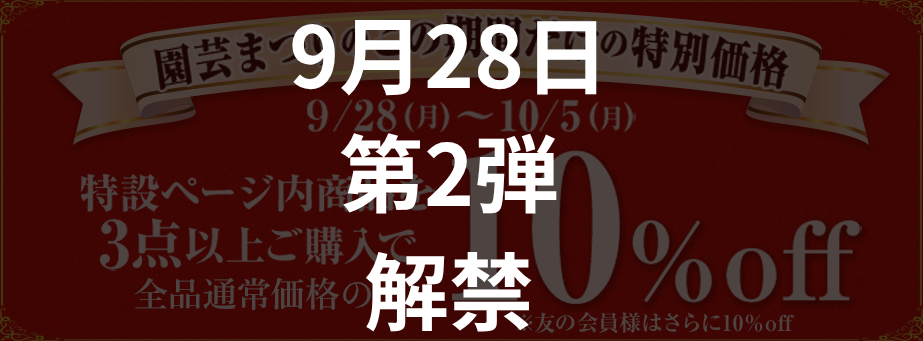 3点以上10％OFF