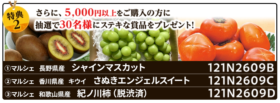 抽選プレゼント