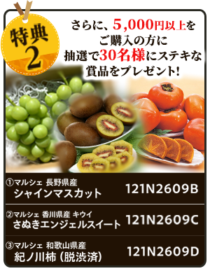 抽選プレゼント
