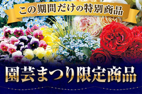 園芸まつり特別商品