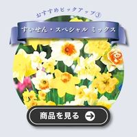 スペシャル ミックス