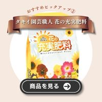 花の充実肥料