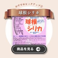 球根シリカ