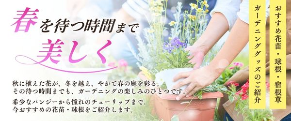 品目別MV
