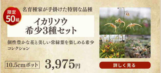 イカリソウ３種セット