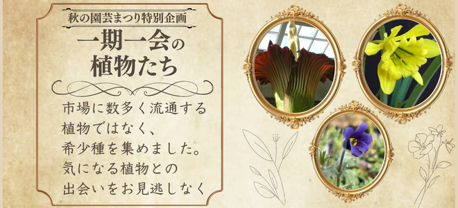 一期一会の植物