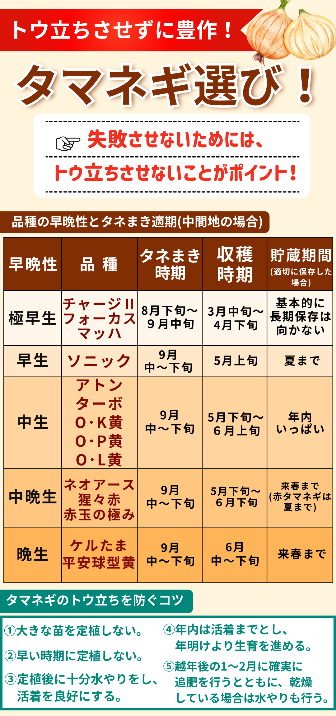 タマネギを作ろう