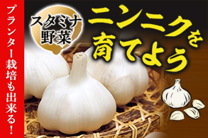 にんにく