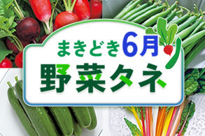 野菜まきどき