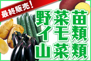 延長販売
