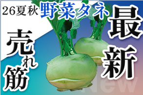 26夏秋野菜タネ
