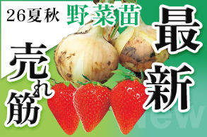 26夏秋野菜苗