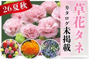 【花タネ】