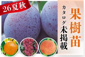 【果樹苗】
