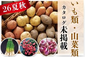 【いも類・山菜苗】
