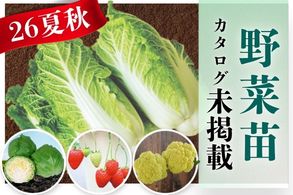 【野菜苗】