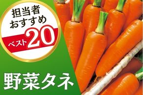 野菜タネ