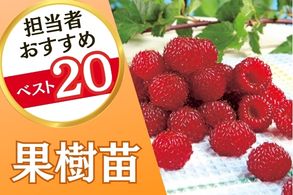 果樹
