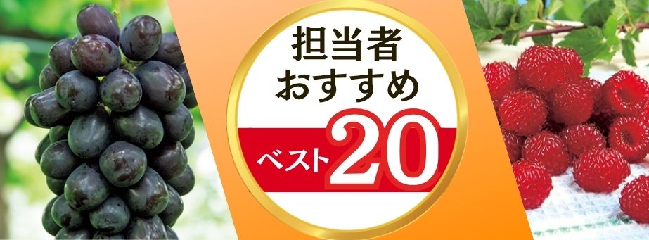 26夏秋担当者おすすめベスト20 【果樹】