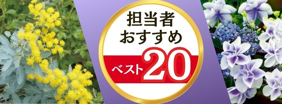 26夏秋担当者おすすめベスト20【花木】