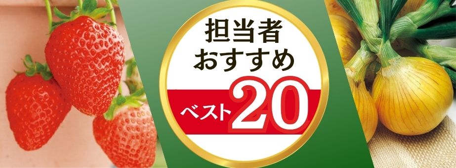 26夏秋担当者おすすめベスト20【野菜苗】