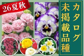 カタログ未掲載